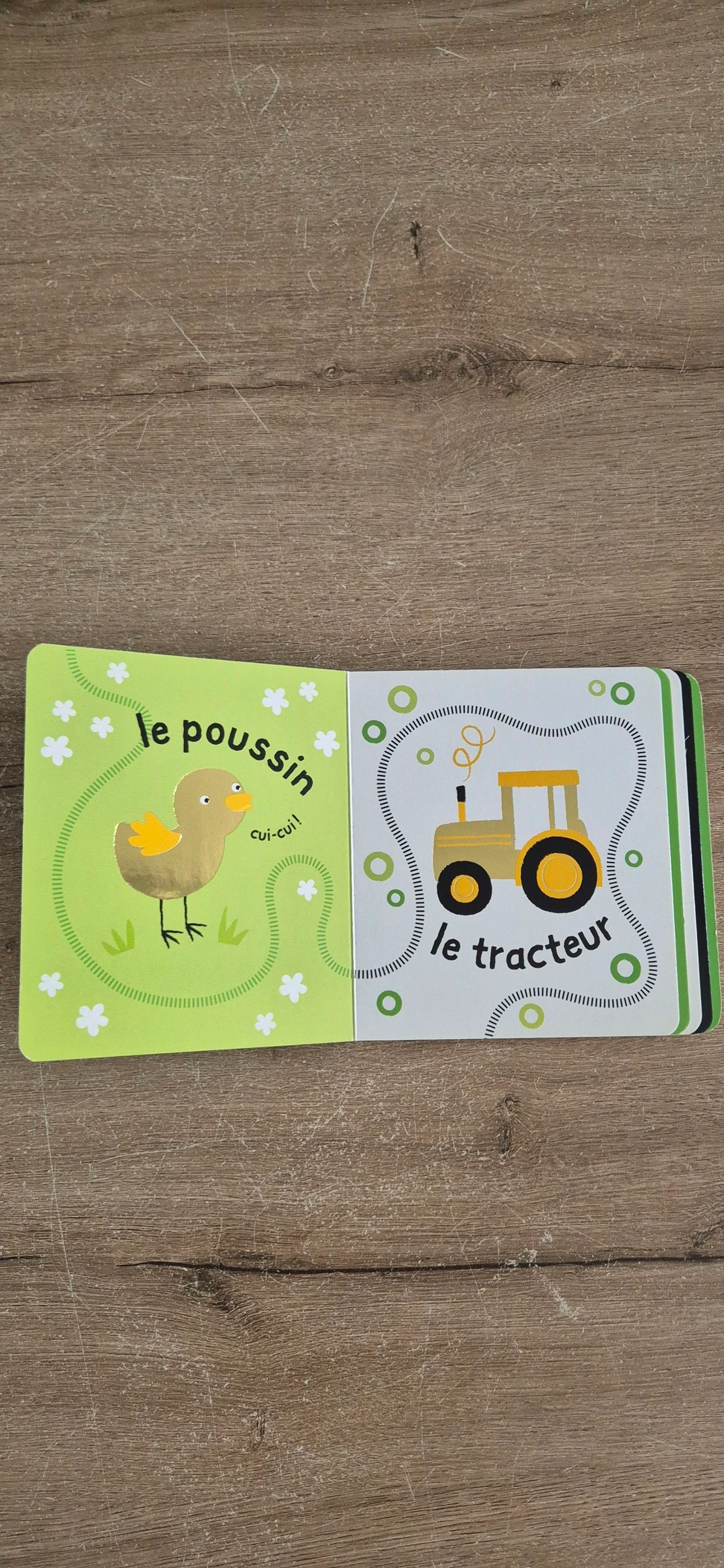Un livre qui brille : Abeille  – photo 2